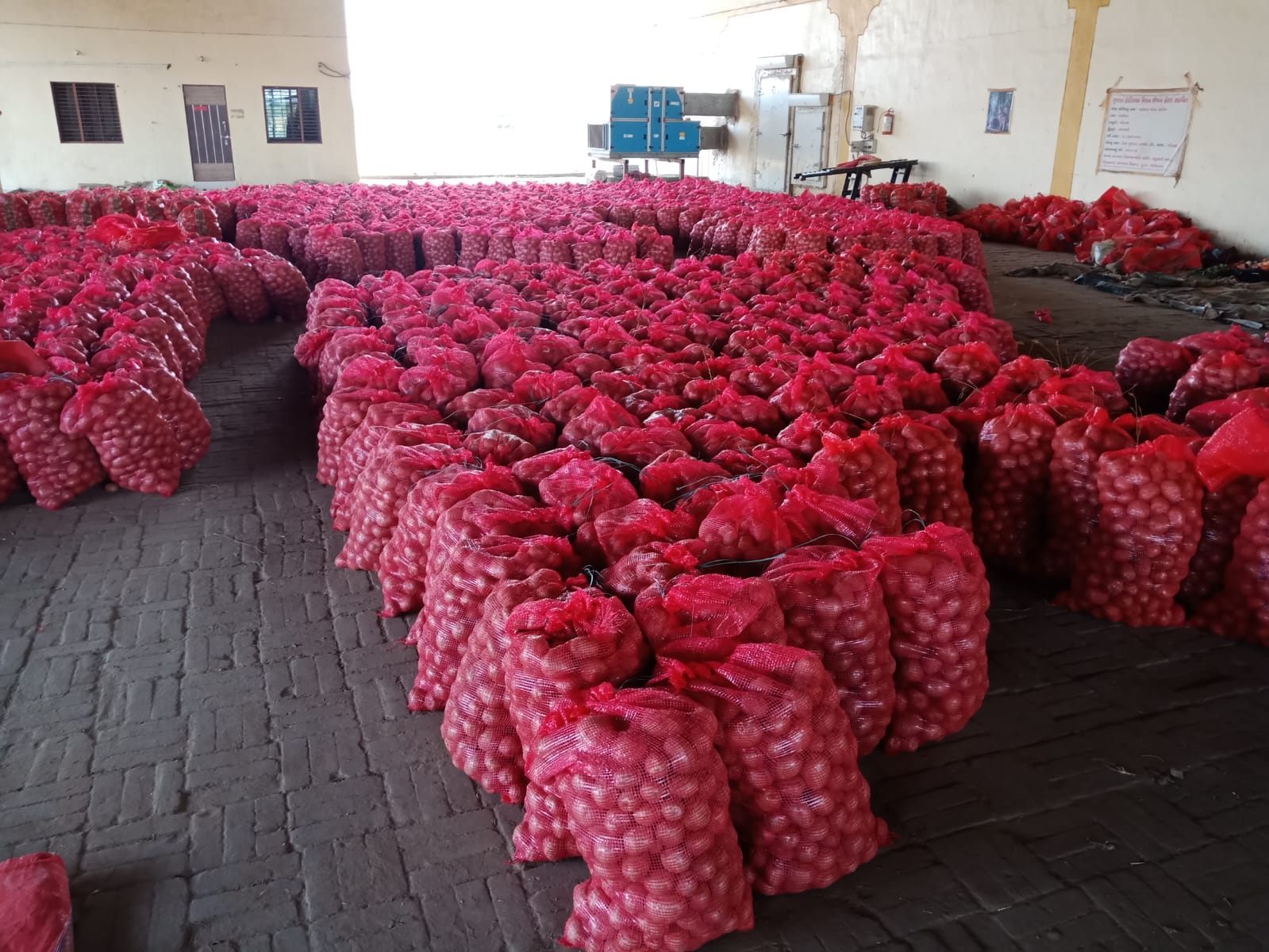 Export packed agricultural products in warehouse