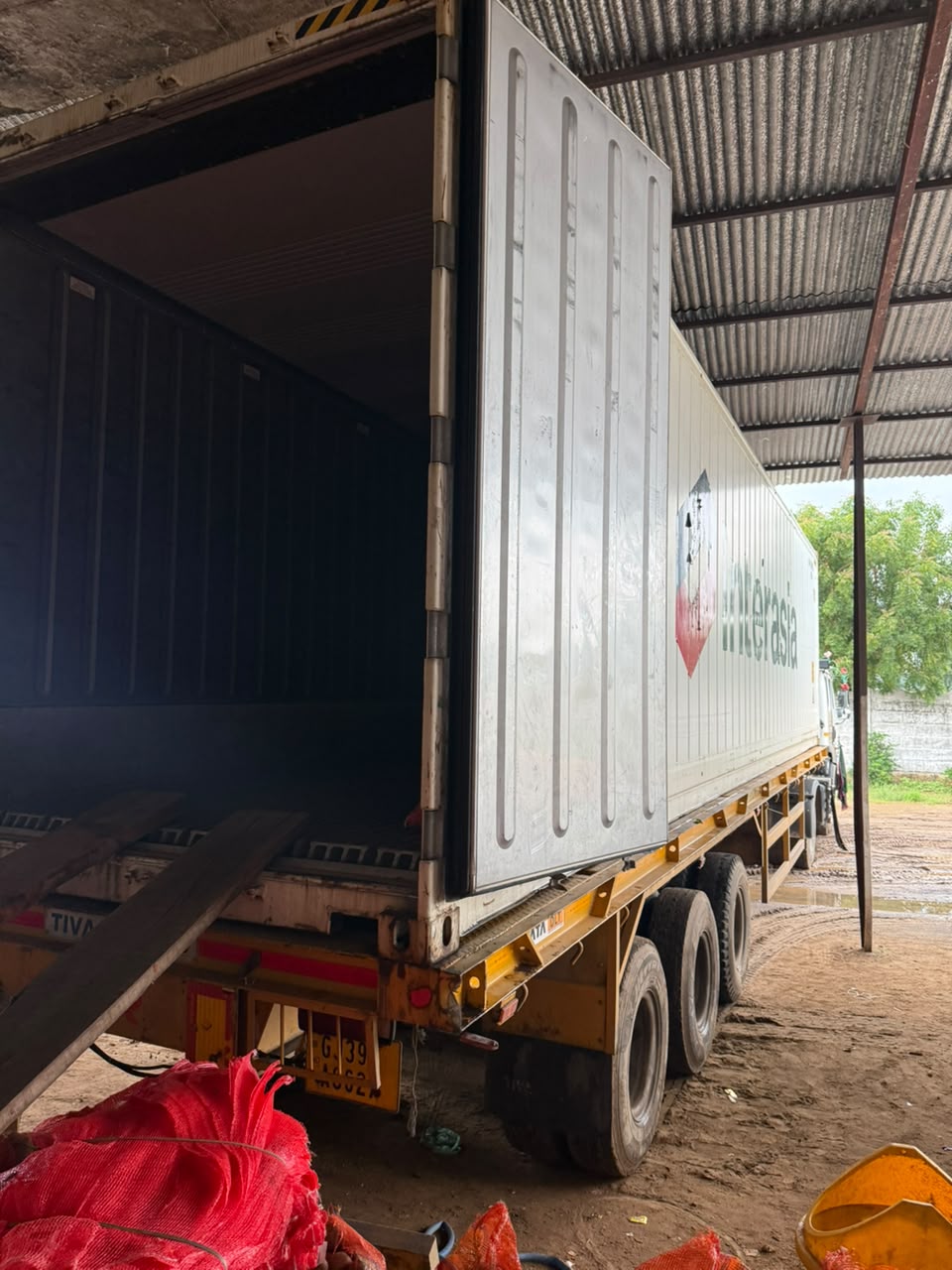 Lady Rosetta Potato Specifications | India Export Guide