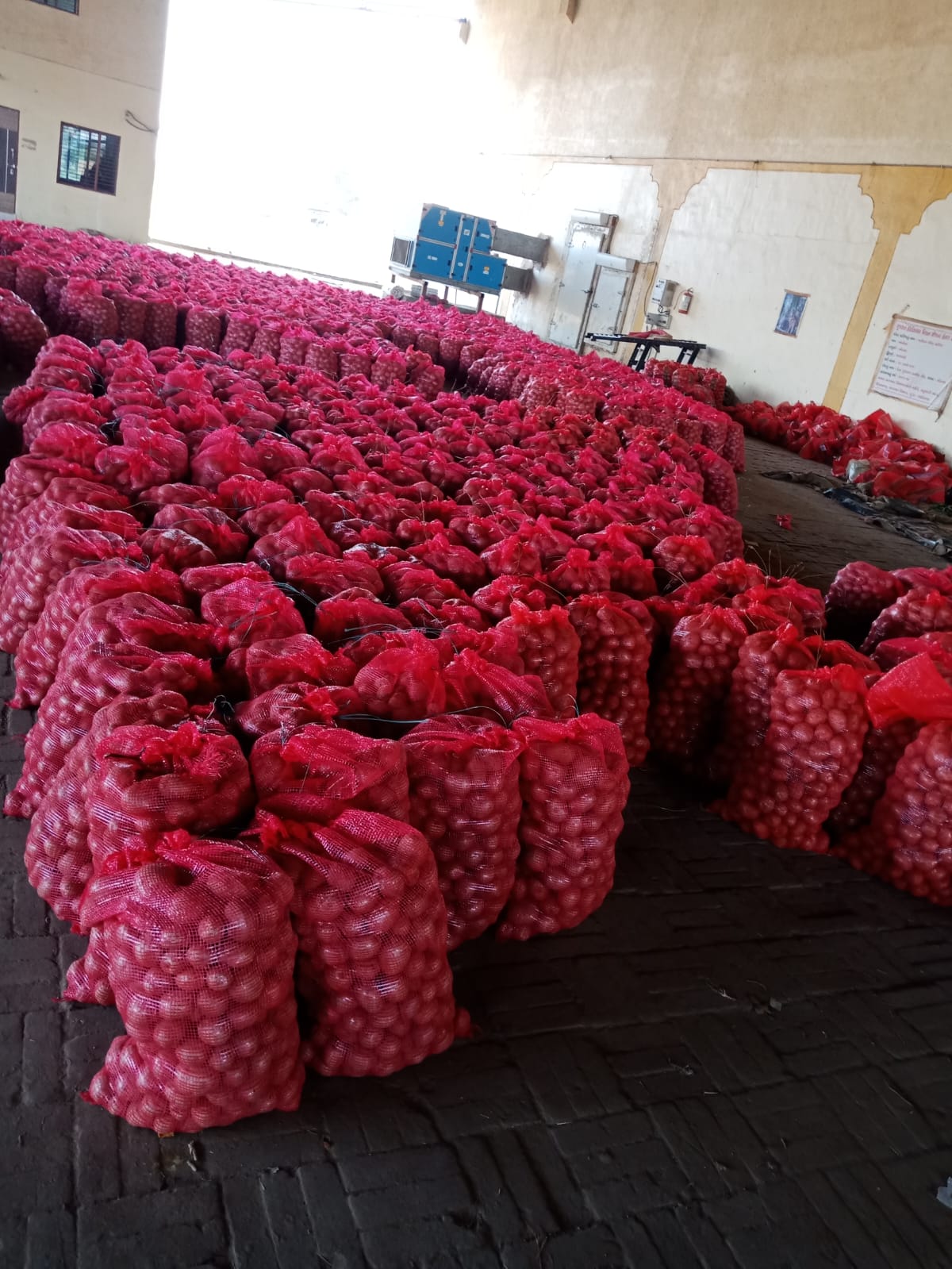 Lady Rosetta Potato for Chip Manufacturers | India Supplier
