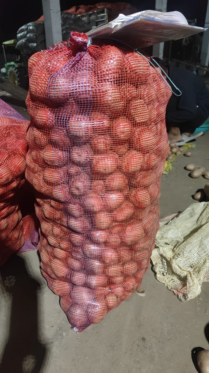 Lady Rosetta Potato: Growing, Harvesting and Supply Season in Gujarat